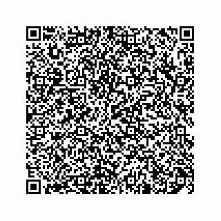vCard 78137551299