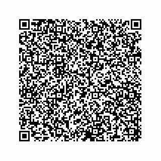 vCard 78137551313