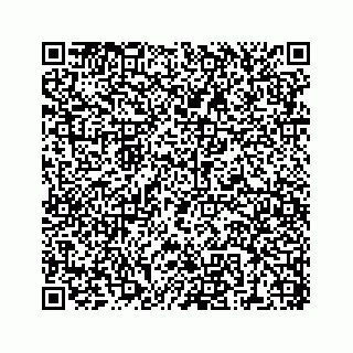 vCard 78137551333