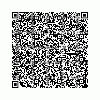 vCard 78137551411