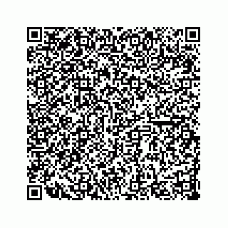 vCard 78137551488