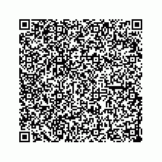 vCard 78137600331