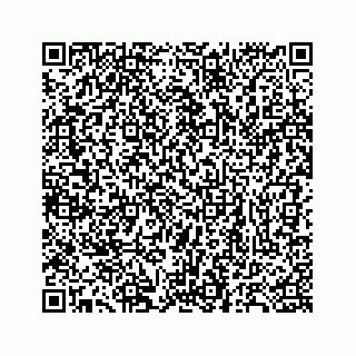 vCard 78137620303