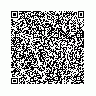 vCard 78137620331