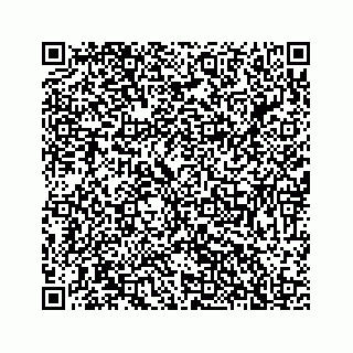 vCard 78137967331