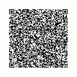 vCard 78137967739