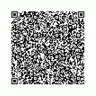 vCard 78137994131