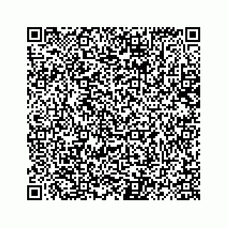 vCard 78139408335