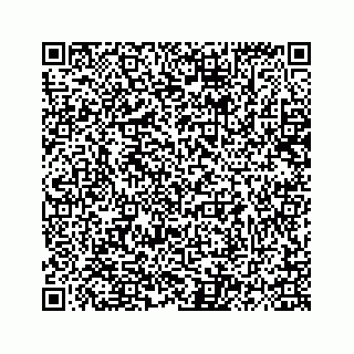 vCard 78139408339