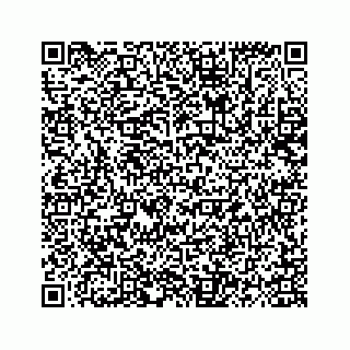 vCard 78139408384