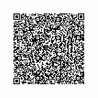 vCard 78142331333