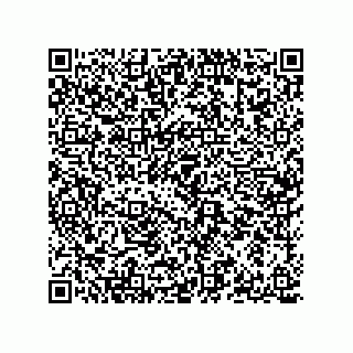 vCard 78142331387