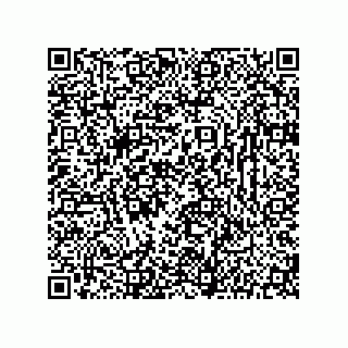 vCard 78142333313