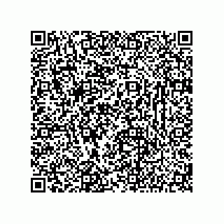 vCard 78142333376