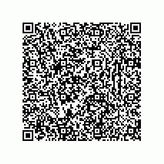 vCard 78142333381