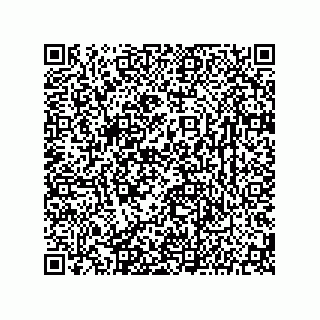 vCard 78142717331
