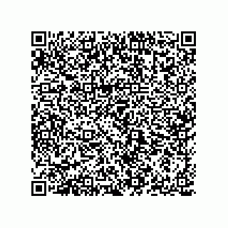 vCard 78142717333
