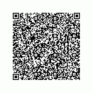 vCard 78142717381