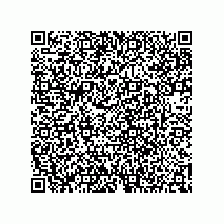 vCard 78143140380