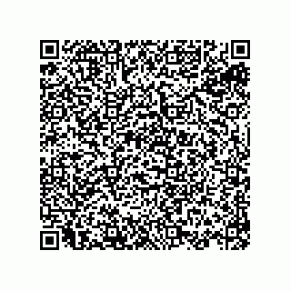 vCard 78143140381