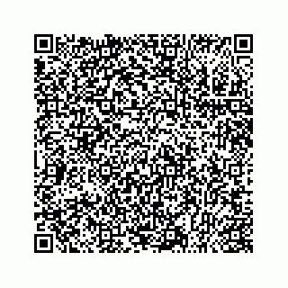vCard 78145033709