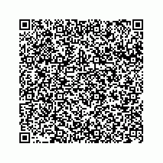 vCard 78145132000