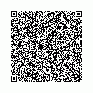 vCard 78145132001