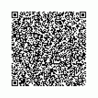 vCard 78145456029