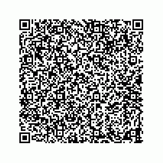 vCard 78145456031