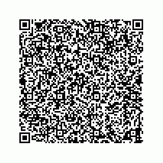 vCard 78145456041