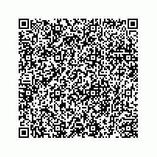 vCard 78145456095