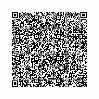 vCard 78145456385