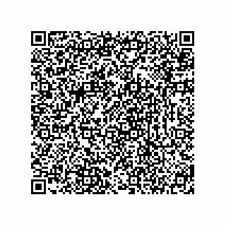 vCard 78145524131