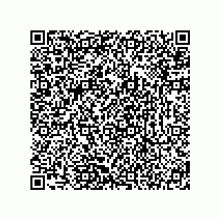 vCard 78145524133