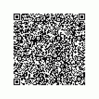 vCard 78145544033