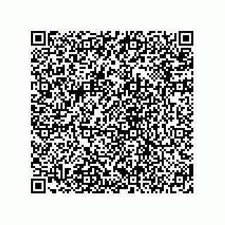 vCard 78145544041
