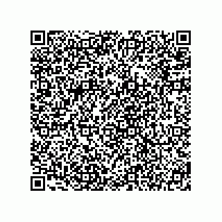 vCard 78145544081