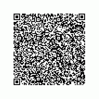 vCard 78145544131