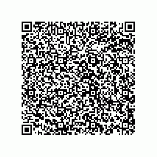vCard 78145544132