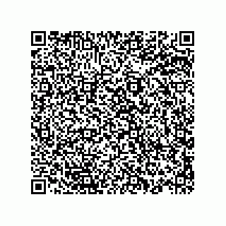 vCard 78145544137
