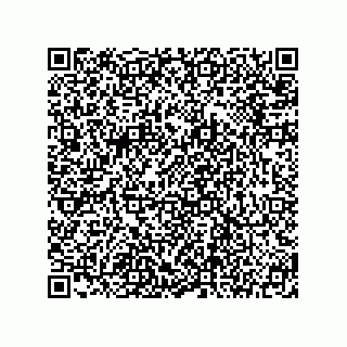 vCard 78145544295