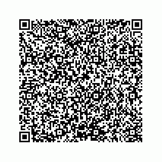 vCard 78145728203