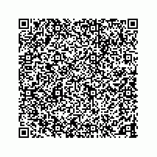 vCard 78145728209