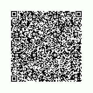 vCard 78145728251