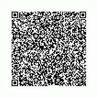 vCard 78145728260