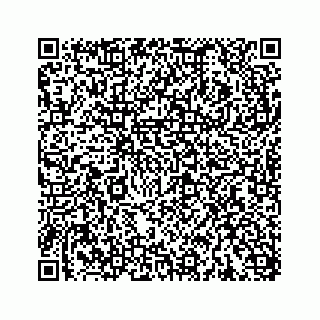 vCard 78145728269