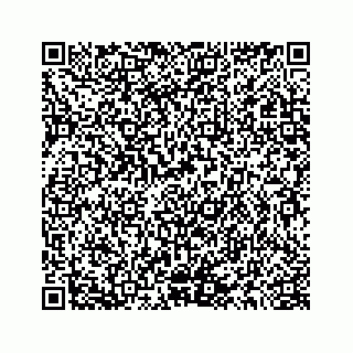 vCard 78145728287