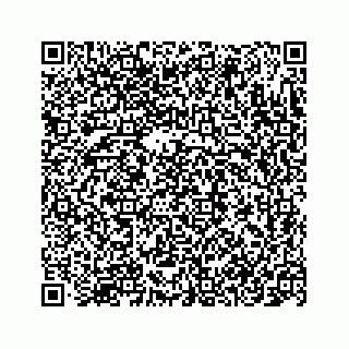 vCard 78145728291
