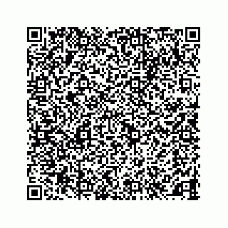 vCard 78145728317
