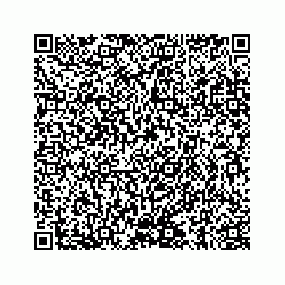 vCard 78145728321
